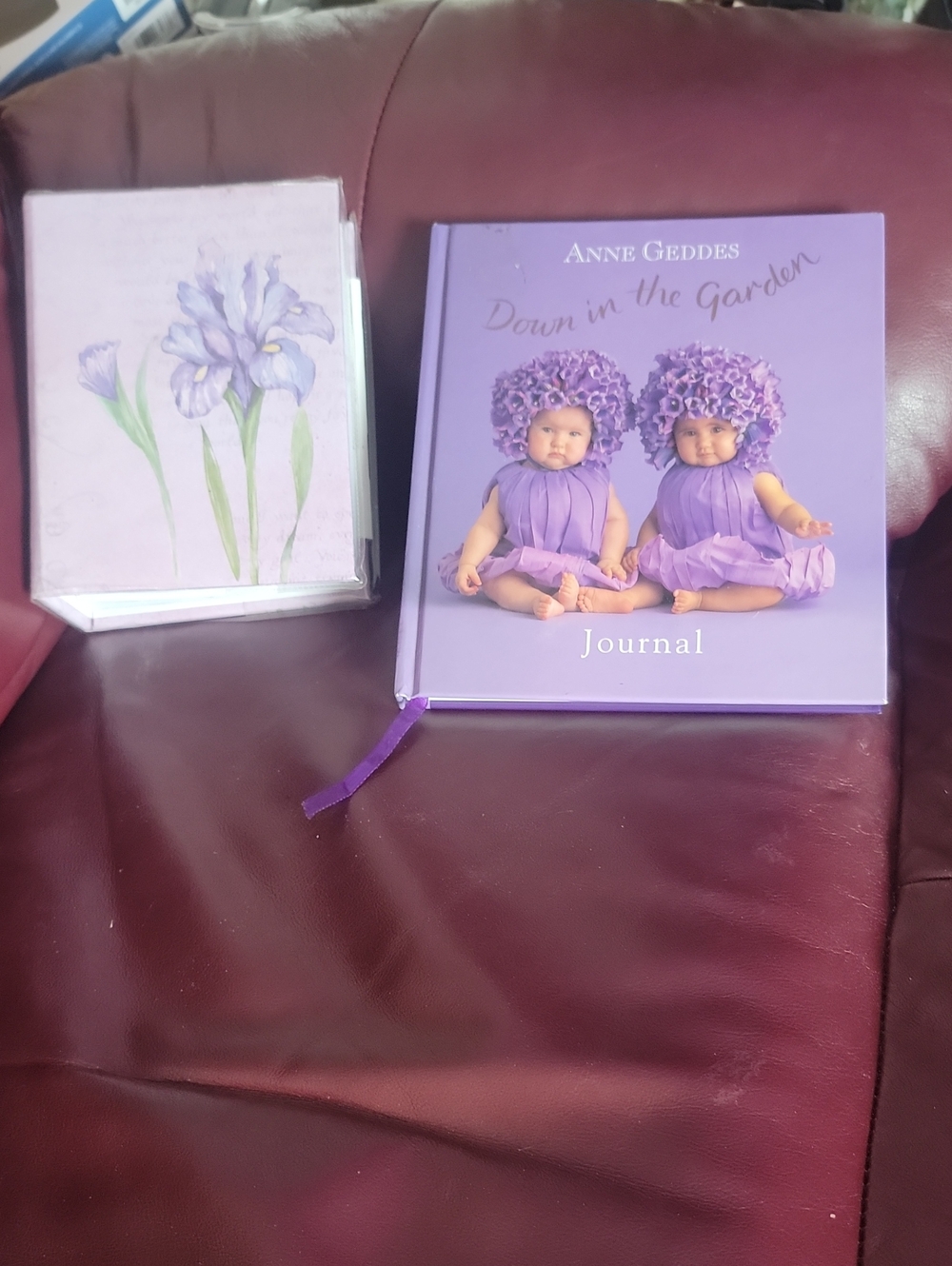Anne Geddes 'Down in the Garden' Purple Baby Journal W/ P floral 4x6 Album